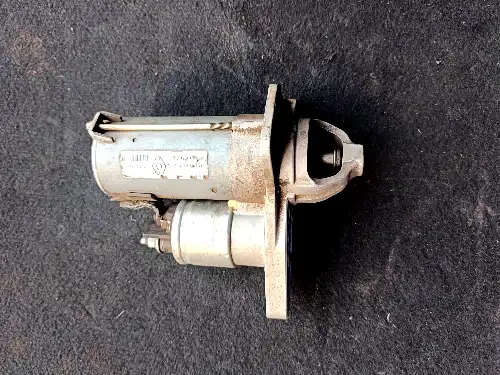 Nissan Terrano Self Motor