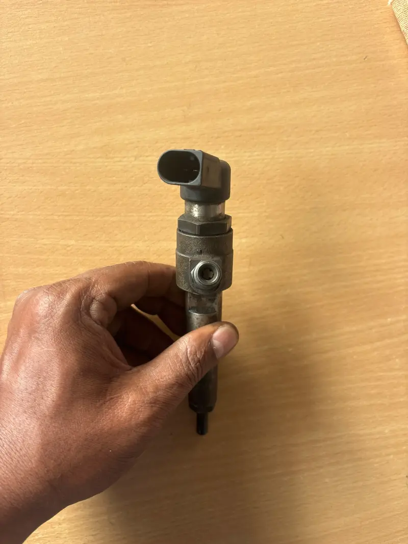 Figo/Fiesta/fusion fuel injector/nozzle