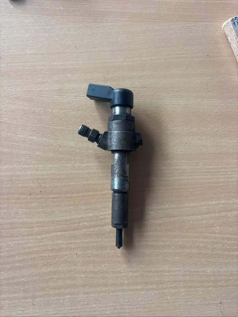 Figo/Fiesta/fusion fuel injector/nozzle