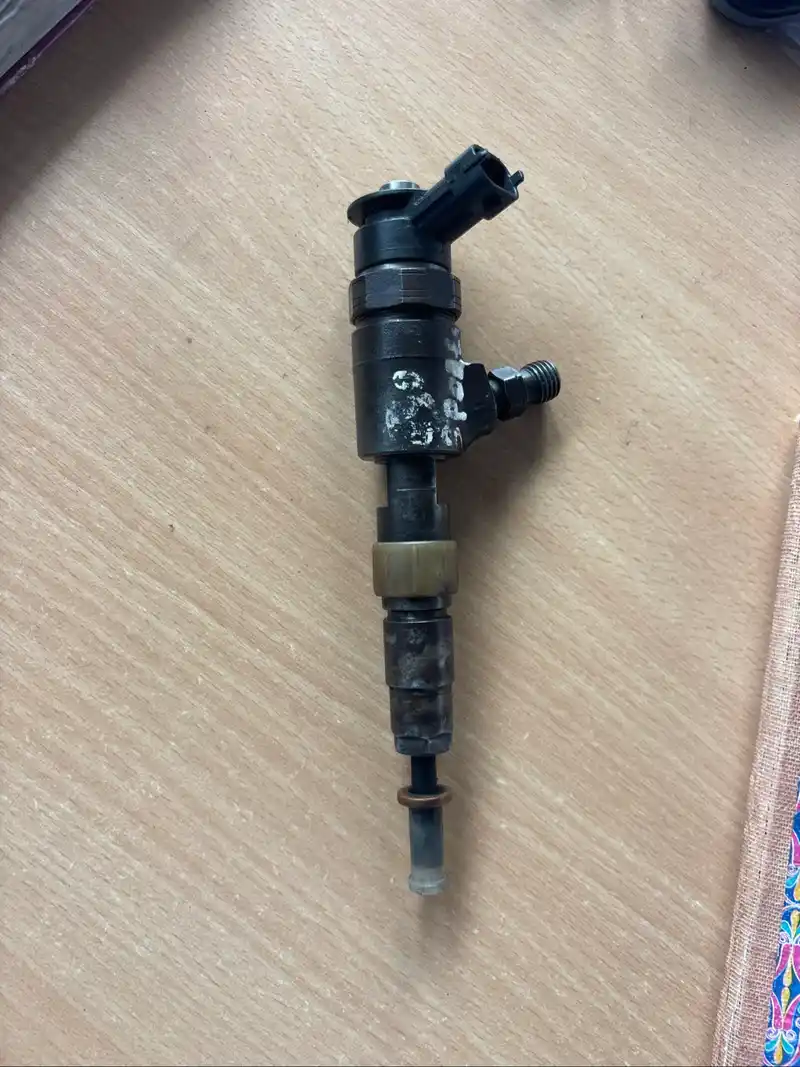 Eco sports diesel fuel injector/nozzle