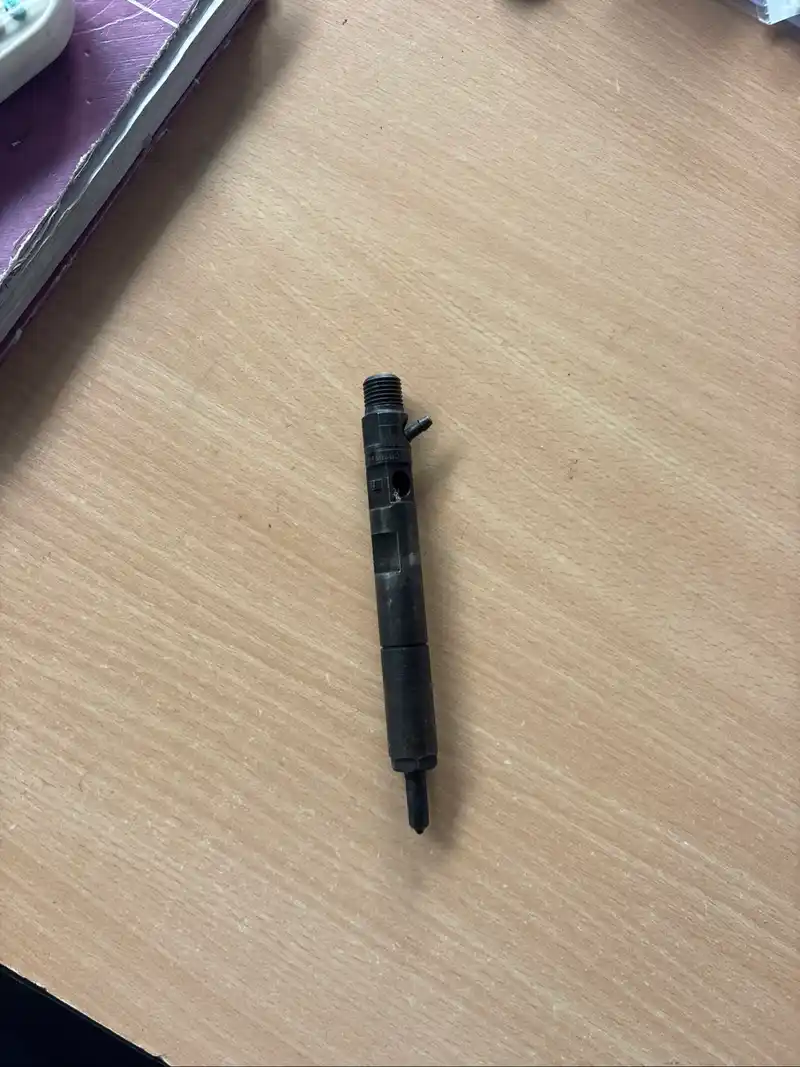 Logan Diesel injector/nozzle