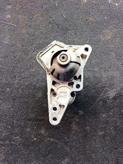 Nissan Terrano Self Motor